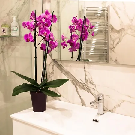 Casanova Lux Ground Floor Apt Firenze